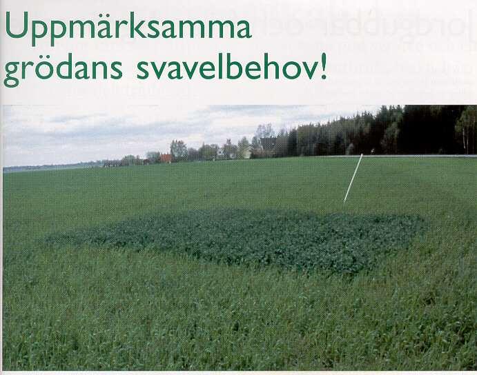 Rekommendation (källa SJV): Engångsgiva