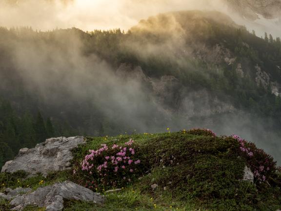 Triglav i Julian Alps Sloveniens pärla 2019 I fokus: Triglav i Julian Alps Sloveniens pärla 2019 Vackra Julian Alps med höga toppar. Soluppgångar och solnedgångar över bergsmassiven.