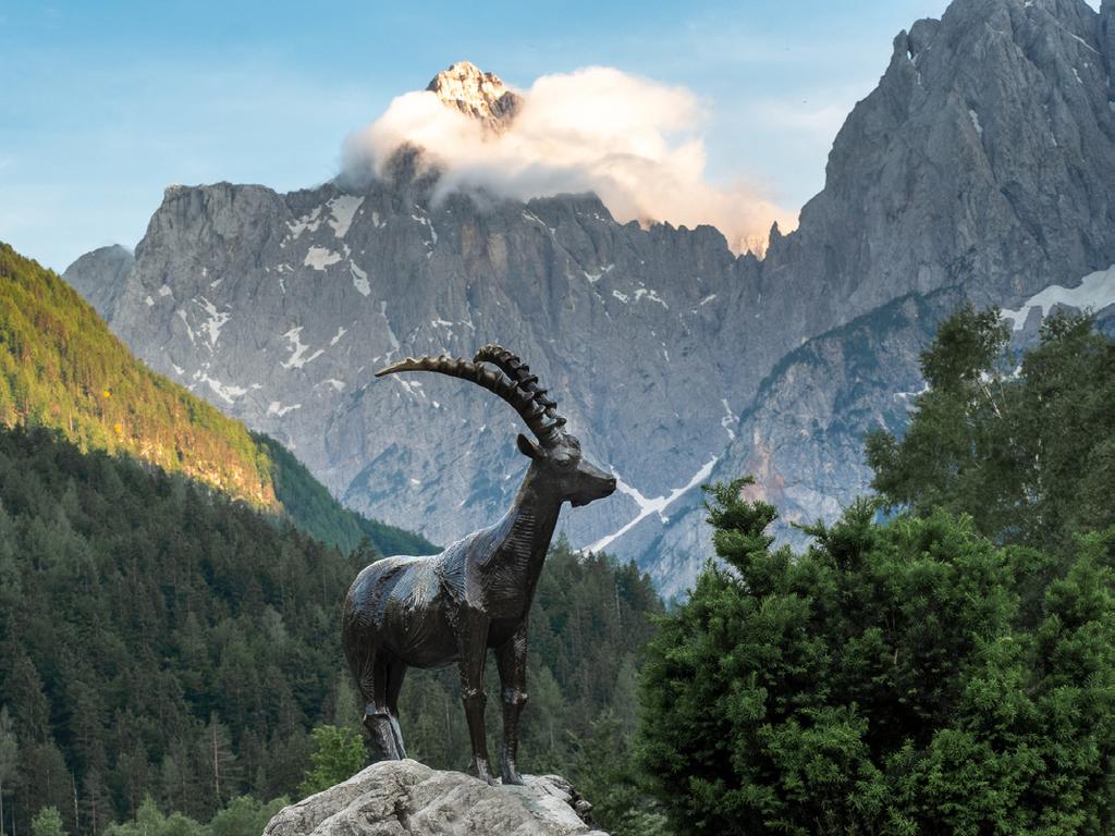 Sagan om Zlatorog Triglavrosen (Potentilla nitida eller glansfingerört) är starkt kopplad till Triglav nationalpark, inte bara till namnet utan också till en väldigt känd slovensk folksaga om