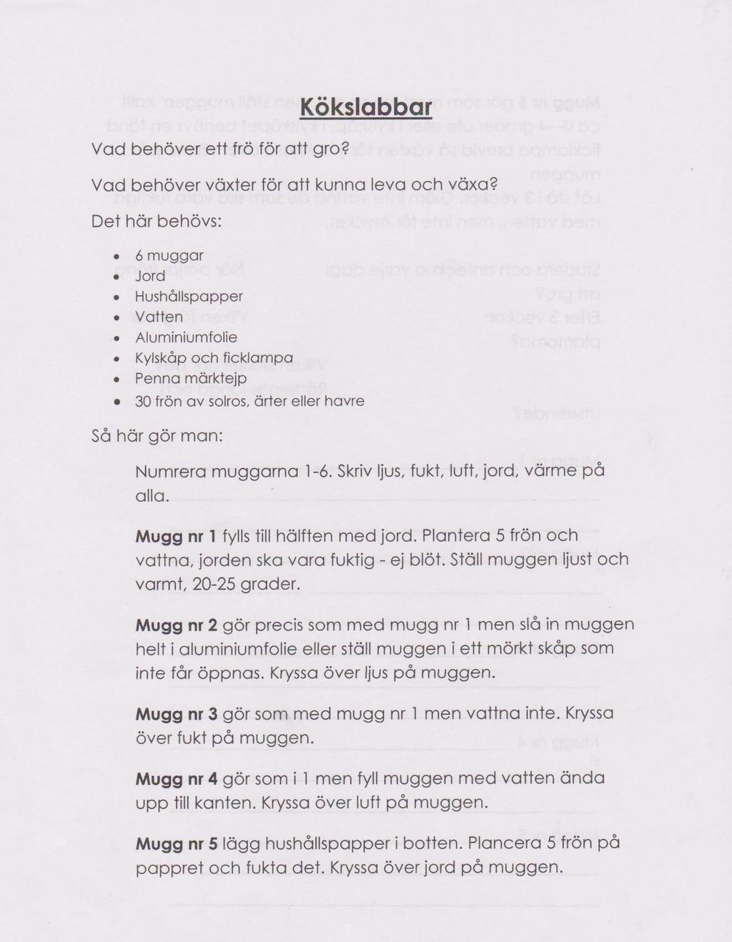 Bilaga 2 -