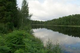 I de flesta fall noteras en till tre arter.