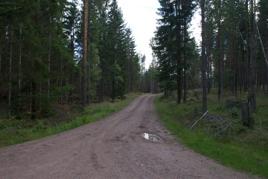 Bild 5.