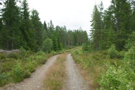 Här noterades en av de högsta