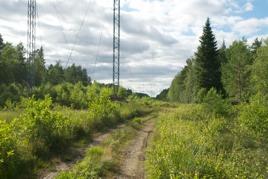 platserna. Bild 6.