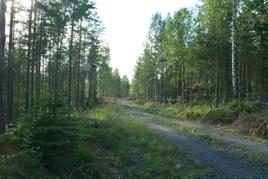 Bild 8.