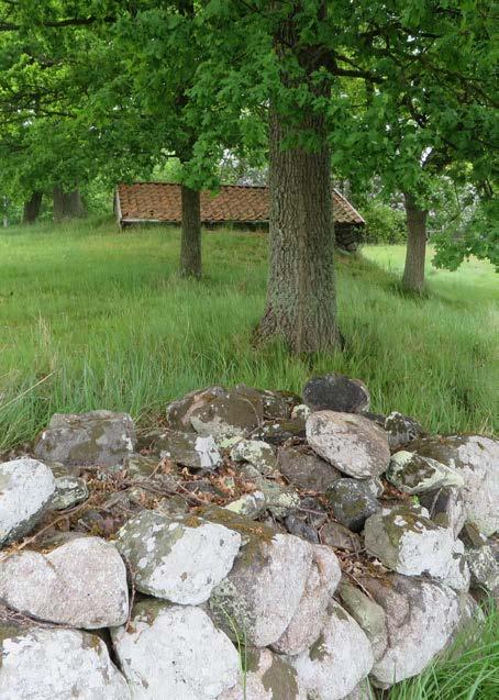 stenkällare för