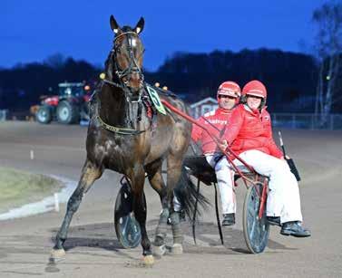 HalmstadTravet