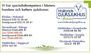 .. an-olof Molin En helg i glädjens tecken Den gångna helgen gick i tävlingarnas och glädjens tecken.