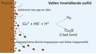 Korrosion av koppar i syrefritt vatten Cu Cu+