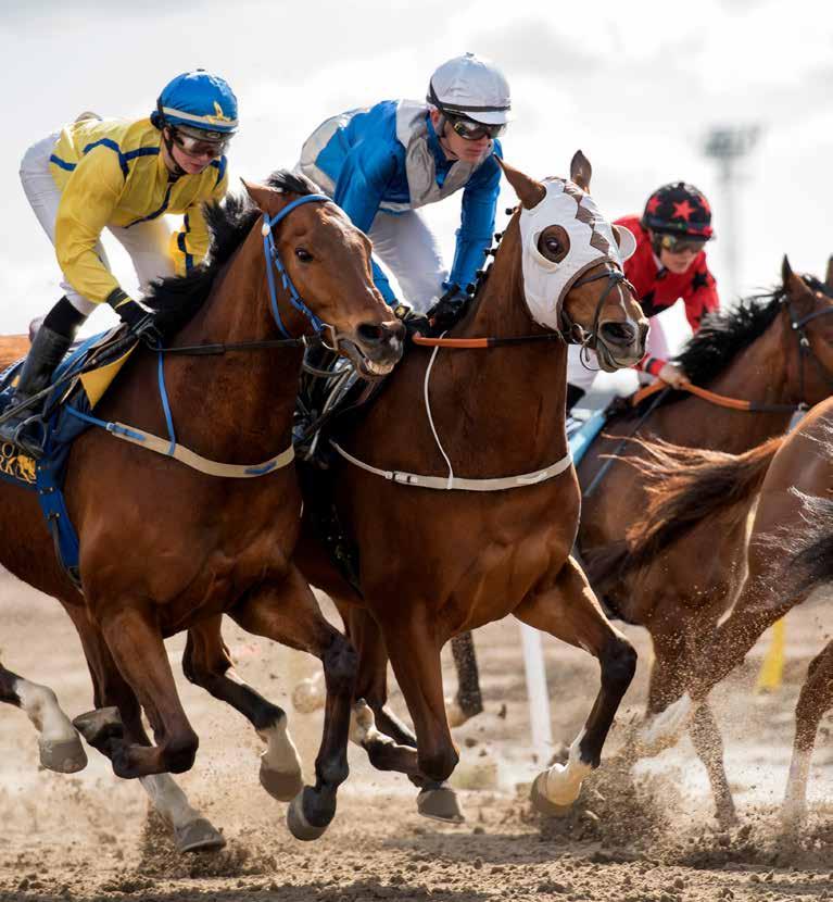 Dagens program 11.00 Grindarna öppnas 11.45 Kvallöpning 12.00 Tipsgenomgång från ledvolten 12.15 Lopp 1 MAIDENLÖPNING 12.45 Lopp 2, V64-1 GULDHANDICAP 13.05 Lopp 3, V64-2 JÄRNHANDICAP 13.