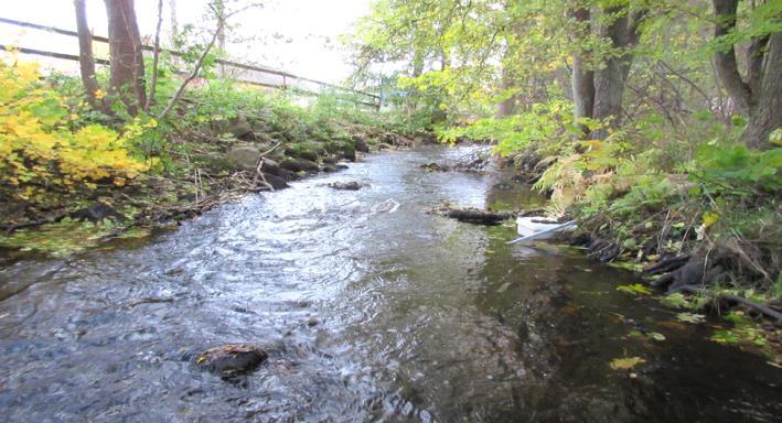 Rönne å vattenkontroll 215 - Resultat bottenfauna Vattensystem: Vattendrag/namn: Provpunktsbeteckning: RÖNNE Å Höörsån Ri Provdatum: Lokaltyp: Å 215--23 Naturligt/grävt: naturligt Koordinater x: Läge