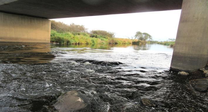 Rönne å vattenkontroll 215 - Resultat bottenfauna Vattensystem: Vattendrag/namn: Provpunktsbeteckning: RÖNNE Å Rönne å, Tranarps bro RO34 Provdatum: Lokaltyp: Å 215--14 Naturligt/grävt: naturligt