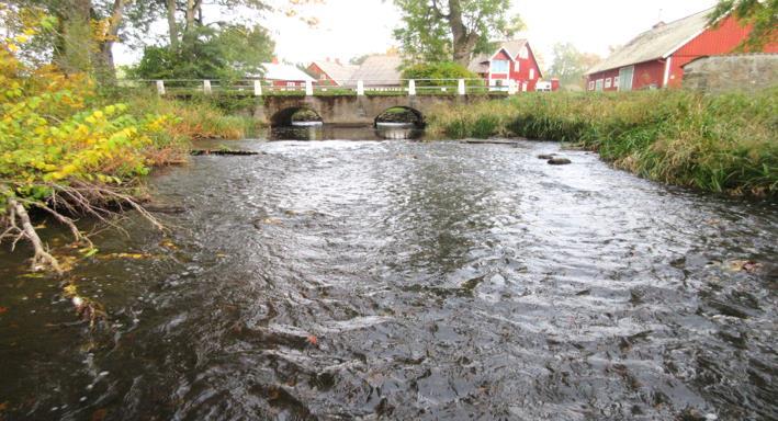 Rönne å vattenkontroll 215 - Resultat bottenfauna Vattensystem: Vattendrag/namn: Provpunktsbeteckning: RÖNNE Å Ybbarpsån, Herrevadskloster RO22 Provdatum: Lokaltyp: Å 215--15 Naturligt/grävt: