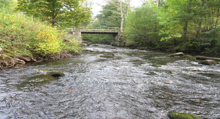 Rönne å vattenkontroll 215 - Resultat bottenfauna Vattensystem: Vattendrag/namn: Provpunktsbeteckning: RÖNNE Å Pinnån, Storamölla RO46 Provdatum: Lokaltyp: Å 215--14 Naturligt/grävt: naturligt