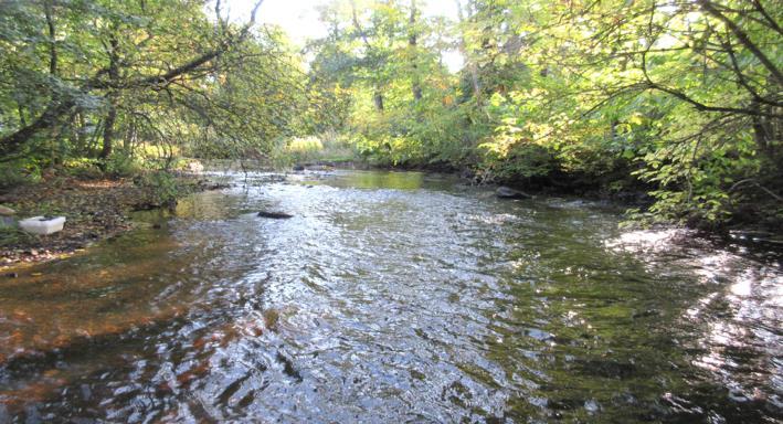 Rönne å vattenkontroll 215 - Resultat bottenfauna Vattensystem: Vattendrag/namn: Provpunktsbeteckning: RÖNNE Å Rössjöholmsån, Dalamölla RO68 Provdatum: Lokaltyp: Å 215--14 Naturligt/grävt: naturligt