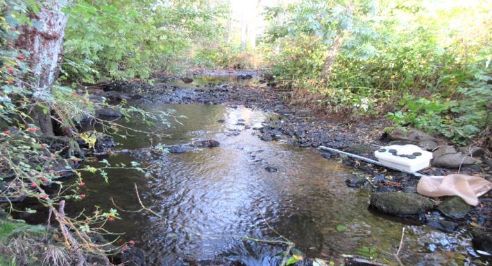 Rönne å vattenkontroll 215 - Resultat bottenfauna Vattensystem: Vattendrag/namn: Provpunktsbeteckning: RÖNNE Å Kägleån, Annelund RO69 Provdatum: Lokaltyp: Å 215--14 Naturligt/grävt: naturligt