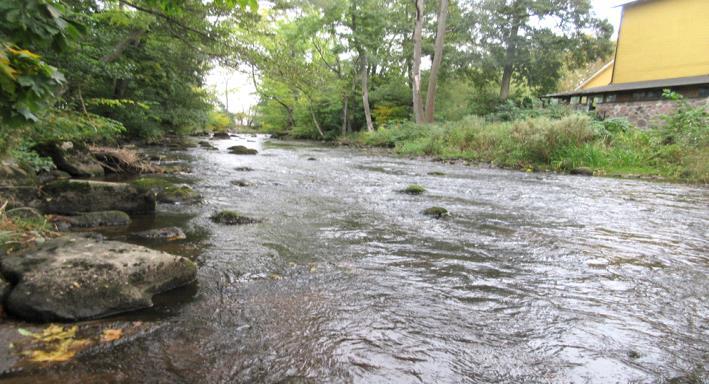 Rönne å vattenkontroll 215 - Resultat bottenfauna Vattensystem: Vattendrag/namn: Provpunktsbeteckning: RÖNNE Å Rössjöholmsån, nära utl.