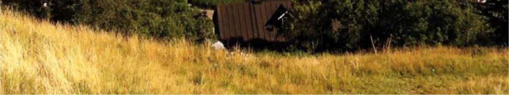 Skötkonung besegrade den norske kungen Olav