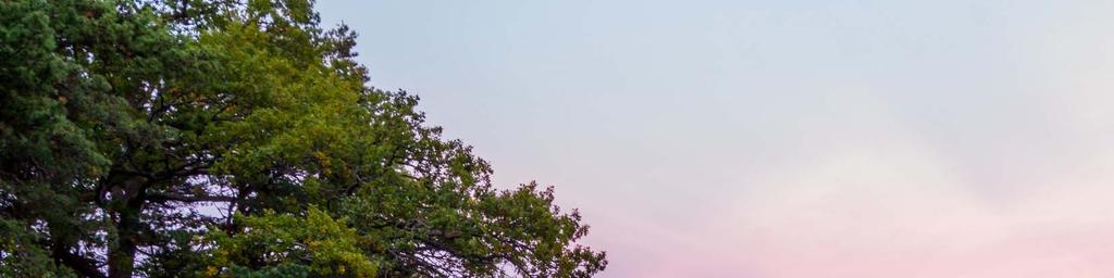 En
