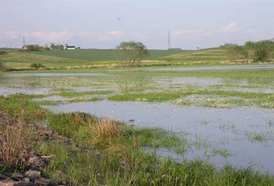 Miljöinvesteringar Våtmarker Förbättrad vattenkvalitet