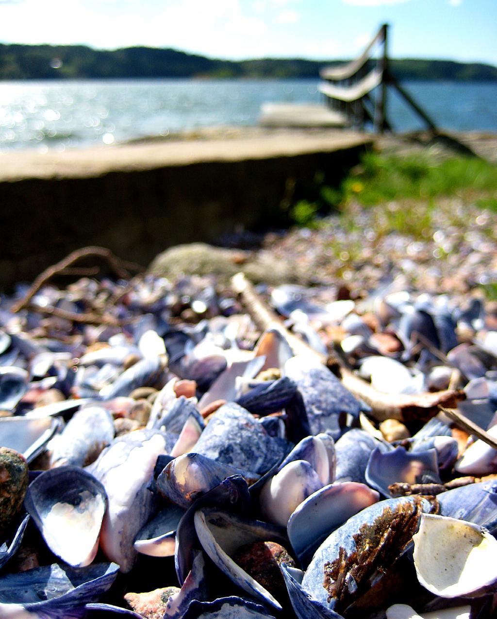 Strandön Bellona 168 Strandön Brattfonn 130 Strandön Buenos Aires 181 Strandön Hedenhöjd 154 Strandön Holtefjell 125 Strandön Jagala 123 Strandön Jakobsberg 166 Strandön Karesuando 140 Strandön Kim