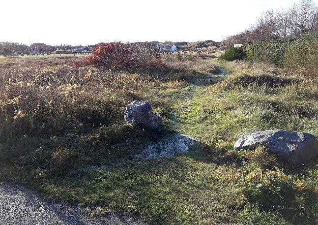 Den huvudsakliga vegetationen återfinns i områdets nordöstra utkant vid den befintliga grusparkeringen och vid sanddynernas östra gräns. Foto 1: Vy från öster, befintlig grusparkering.