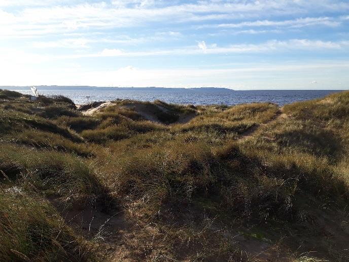 Grönområdesutredning Laholms kommun har tagit fram en grönområdesutredning (antagen av kommunfullmäktige 2015-12-15) för alla befintliga grönområden i kusten.