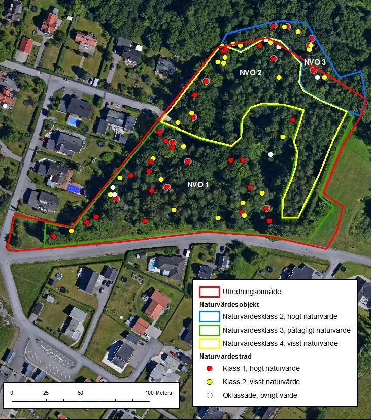 Identifierade naturvärdesobjekt (NVO) Totalt identifierades tre olika naturvärdesobjekt med likartade naturförhållanden och naturvärden, dessa redovisas i figur 3.