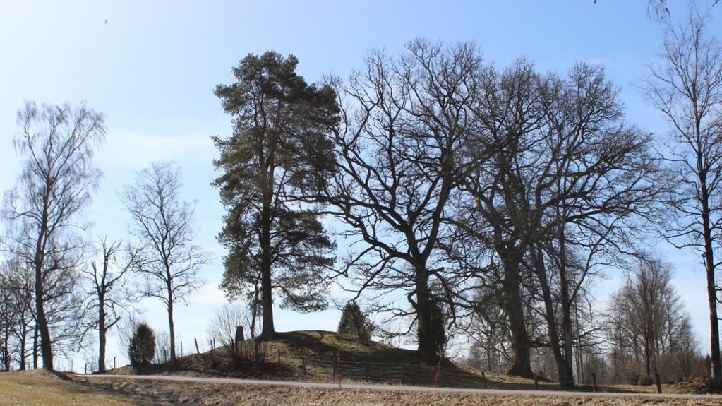 OMRÅDESBESTÄMMELSER för riksintresset vid Vallsjö gamla kyrka Herrgårdsmiljö i Njudungs medeltida kärnbygd med en välbevarad