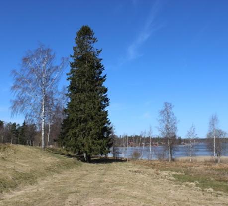 Hela strandområdet, som är 100 meter från stranden både in på land och ut i vattnet, omfattas av bland annat byggförbudet i strandskyddsförordnandet/miljöbalken.