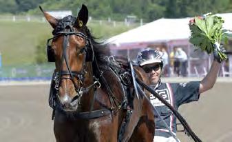 155 3 Makethemark Maharajah 3 1.982.000 4 Cyber Lane Raja Mirchi 4 1.861.465 5 Diamanten Adrian Chip 3 1.545.820 6 Super Nice Orlando Vici 2 1.344.619 7 Handsome Brad Brad de Veluwe 7 1.196.