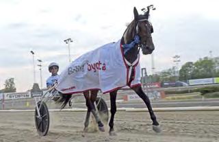 200 10 Lover Face (10) Love You 2 1.550.110 11 Cash Gamble (7) Ready Cash 1 1.400.635 12 Day or Night In (6) Muscle Hill 5 1.386.992 13 King Sir Kir (7) Make it Happen 3 1.177.