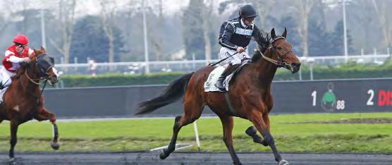 221 6 Dirty Dancing In 6 s Muscles Yankee (US) 1 310.300 7 Licence Holder 9 v Scarlet Knight (US) 9 304.908 8 Kattens Chamsin 8 v Enjoy Lavec 5 292.200 9 Robin Hood 5 v Raja Mirchi 6 286.