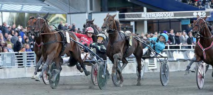 GRUPPLÖPNINGAR 3-åringar. Inti Boko och Johnny Takter vinner Svensk Travkriterium 2018. Hela fyra miljoner kronor var segern värd för ägarna. SVENSKT TRAV-KRITERIUM Solvalla 30 september. Lätt bana.