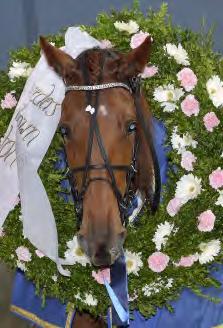 000 1,89 Adielsson Erik 2 Inti Boko 12,3 800.000 57 Kontio Jorma 3 Betting Gangster 12,4 400.000 44 Goop Björn 4 Jaguar Dream 12,7 192.000 128 Sjöström Claes 5 Forfantone Am 12,8 128.