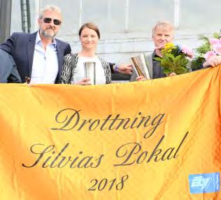 11,8 500 1286 Sundberg Hans-Owe Fritjof 13,6 500 520 Untersteiner Johan Calle Crown ug 500 197 Eriksson Christoffer Segrare: hingst 4 år e. Andover Hall-Good Common Cents. Ägare: SRF Stable.