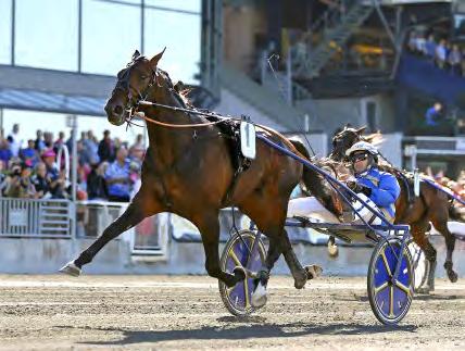 GRUPPLÖPNINGAR 4-åringar. Inför 24.128 personer gasar Erik Adielsson mot seger med Giveitgasandgo i Fyraåringseliten Tommy Hannés lopp. TOMMY HANNÉS LOPP - FYRAÅRINGSELITEN Solvalla 27 maj. Lätt bana.