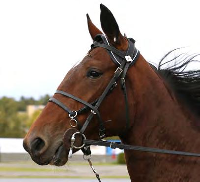 080 172 Adielsson Erik 6 Waffle 10,9 51.300 962 Untersteiner Johan Opl.