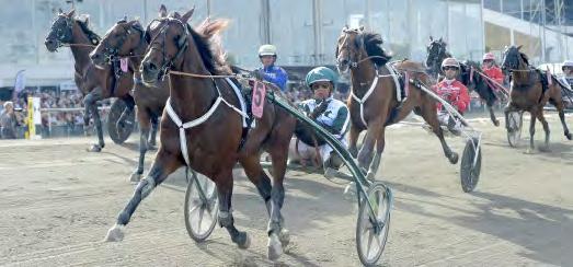 GRUPPLÖPNINGAR 4-åringar. Travkompaniets Who s Who vinner Svenskt TravDerby på nytt världsrekord! SVENSKT TRAVDERBY Jägersro 2 september. Lätt bana. 7.843.000 kr. 2.640 m. Auto.
