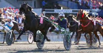 GRUPPLÖPNINGAR Grupp I Internationella. Ringostarr Treb vinner Elitloppet efter att ha laddat upp med seger i Olympiatravet. En dubbel Pershing klarade 1979.