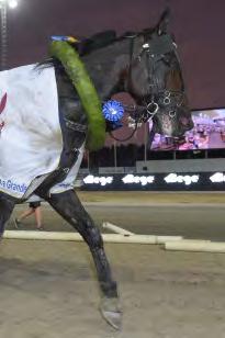 Häst Tid Prispengar Odds Kusk 1 Propulsion (US) 11,4 1.000.000 1,38 Kihlström Örjan 2 Makethemark 11,4 400.000 104 Goop Björn 3 Arazi Boko* 11,7 200.000 125 Kontio Jorma 4 Call Me Keeper 11,8 100.