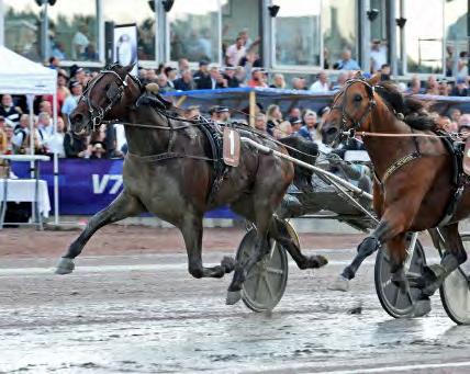 GRUPPLÖPNINGAR Grupp I Internationella. Åby Stora Pris var i år omgjort från heatlopp till ett långlopp. Här fick vi se en av årets bästa upploppsstrider.