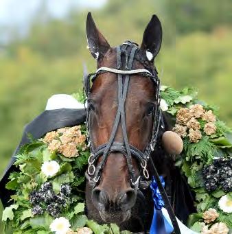 Häst Tid Prispengar Odds Kusk 1 Propulsion (US) 13,2 2.000.000 2,26 Kihlström Örjan 2 Readly Express 13,2 1.000.000 20 Kontio Jorma 3 Reckless 13,5 500.000 252 Goop Björn 4 Sorbet 13,6 240.