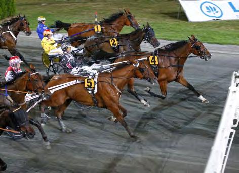 GRUPPLÖPNINGAR Grupp I Internationella. Darling Mearas är närmast bilen när starten av Prix Maharajah kördes på Solvalla.