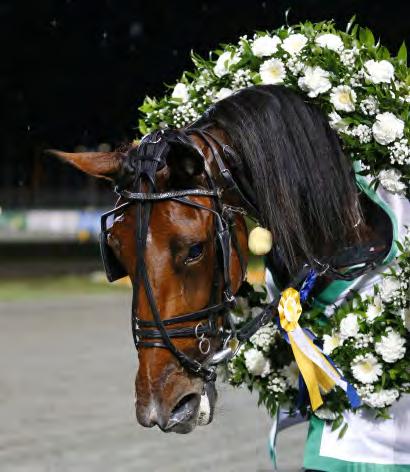 Häst Tid Prispengar Odds Kusk 1 Darling Mearas 11,4 900.000 8,07 Persson Stefan 2 Ranch Kelly (FI) 11,5 450.000 85 Torvinen Hannu 3 In Toto Sund 11,6 225.000 73 Kihlström Örjan 4 Trendy O.K.* (IT) 11,7 108.