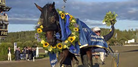 GRUPPLÖPNINGAR Grupp I Internationella. En av årets överraskningar var Milligan s School. Med Ulf Eriksson vann han Sundsvall Open Trot. JUBILEUMSPOKALEN Solvalla 14 augusti. Lätt bana. 1.967.500 kr.