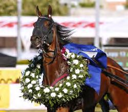 GRUPPLÖPNINGAR Grupp II Internationella. SWEDEN CUP Solvalla 26 maj. Lätt bana. 1.117.000 kr. 1.640 m. Auto. Häst Tid Prispengar Odds Kusk 1 Arazi Boko* 10,2 600.
