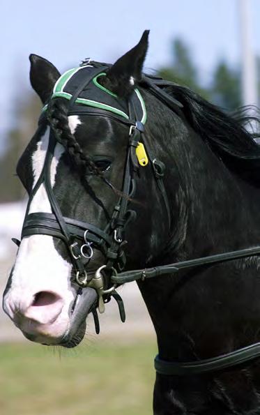KALLBLODSLANDSKAMPERNA I PARIS Landskamperna på Vincennes i Paris mellan kallbloden från Sverige, Norge och Finland har körts varje år sedan 2002, då svenske Lykketinder och Per-Gunnar Persson vann