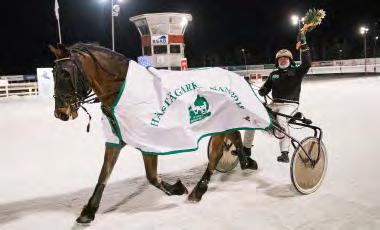 HÄSTAR, STARTER OCH PRISPENGAR Antal registrerade kallblod, antal startande, antal starter och utdelade prispengar.