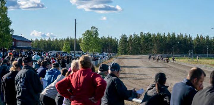 BANA FÖR BANA Antal lopp, antal startande, antal starter och utdelade prispengar. Under 2018 arrangerade Lycksele tre tävlingsdagar. Man körde 28 lopp. 20 för varmblod och 8 för kallblod.
